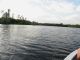 Lago dorato